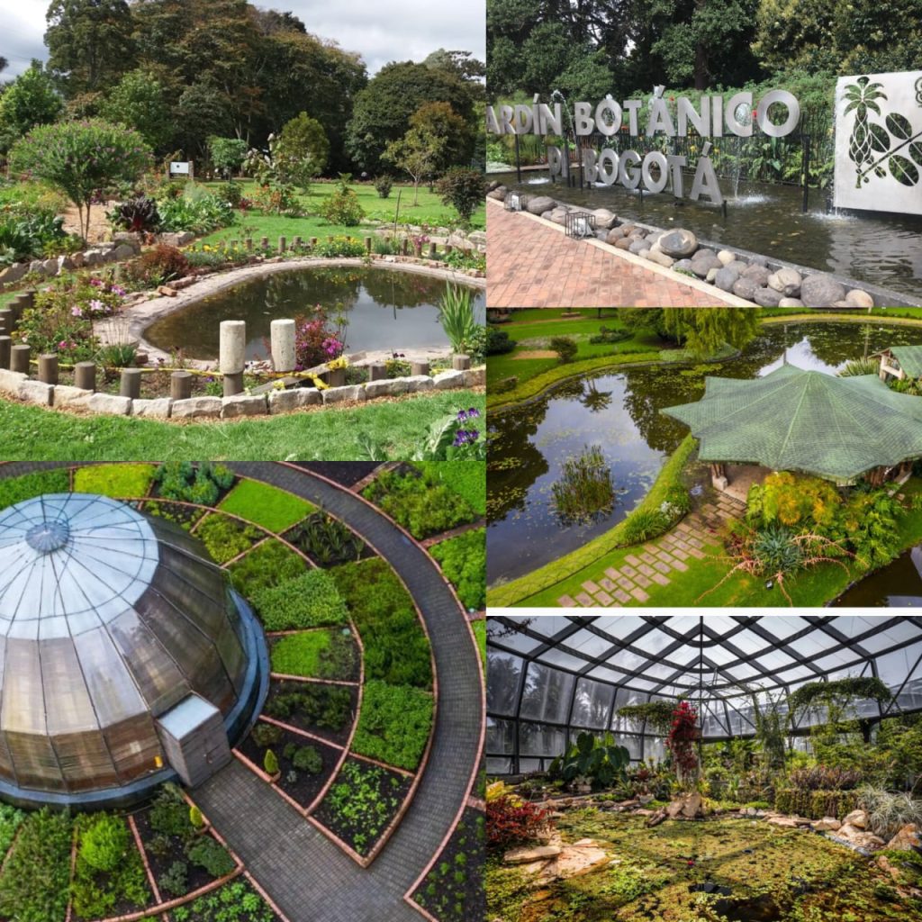 Alquiler de Carros en Bogotá para ir al Jardín Botánico