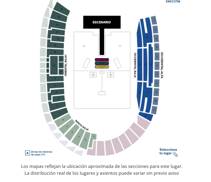 ESTADIO NEMESIO