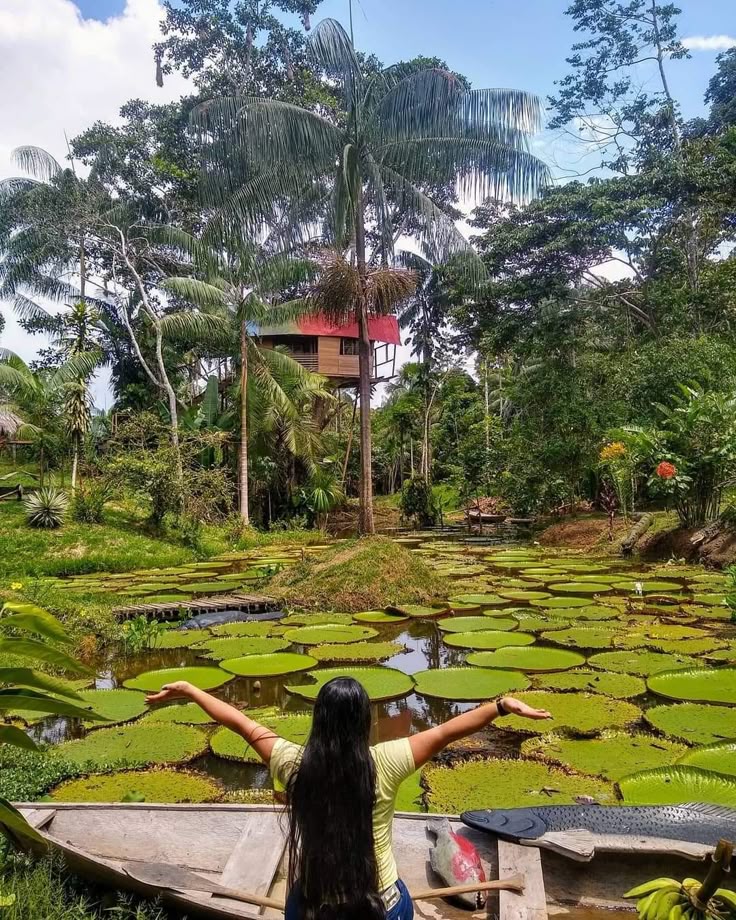 selva