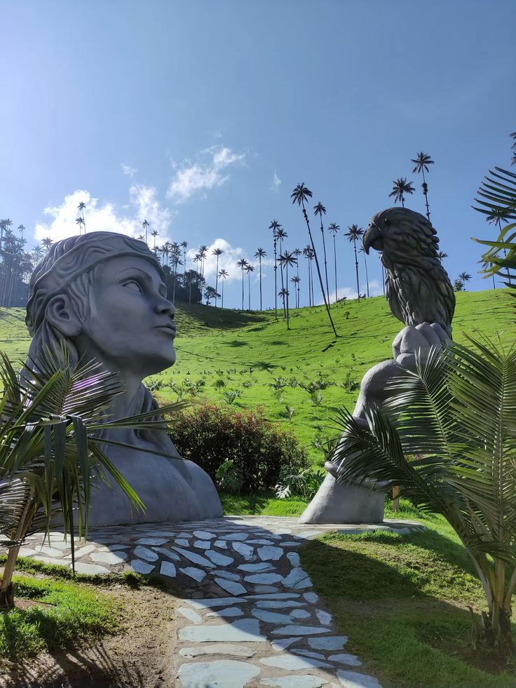 valle del cocora
