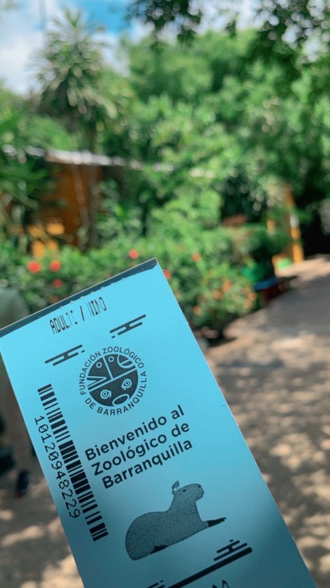 zoo