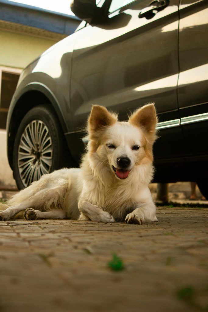 coche