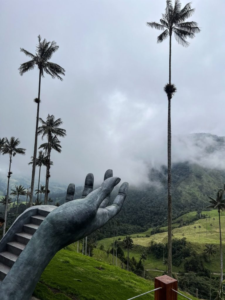 cocora